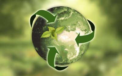 Have You Accounted For Sustainability In Your Business Strategy?