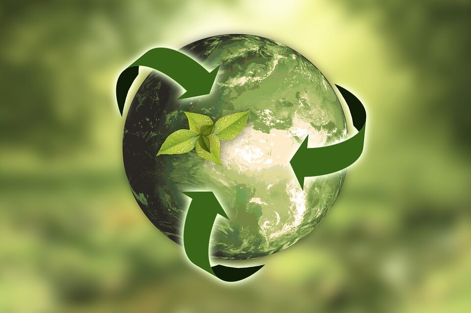 Have You Accounted For Sustainability In Your Business Strategy?