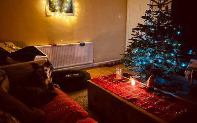 Four Accounting Tips For Peace Of Mind Over Christmas