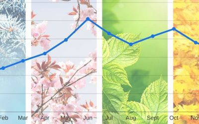 Feast Or Famine? How To Manage Your Business Finances Year-Round